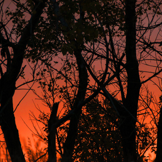 "Blood Moon Sunset" stock image