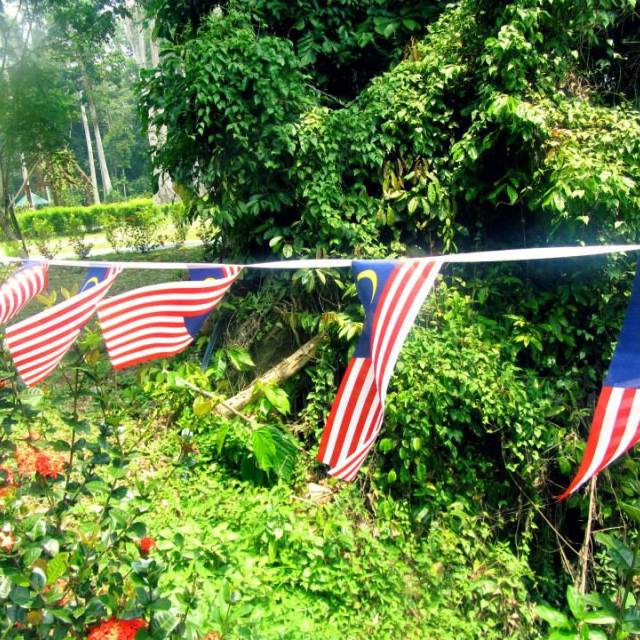 "Malaysian Flags" stock image