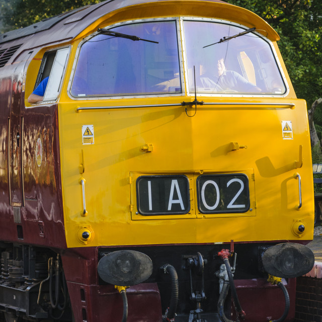 "Class 52 western diesel loco D1015" stock image