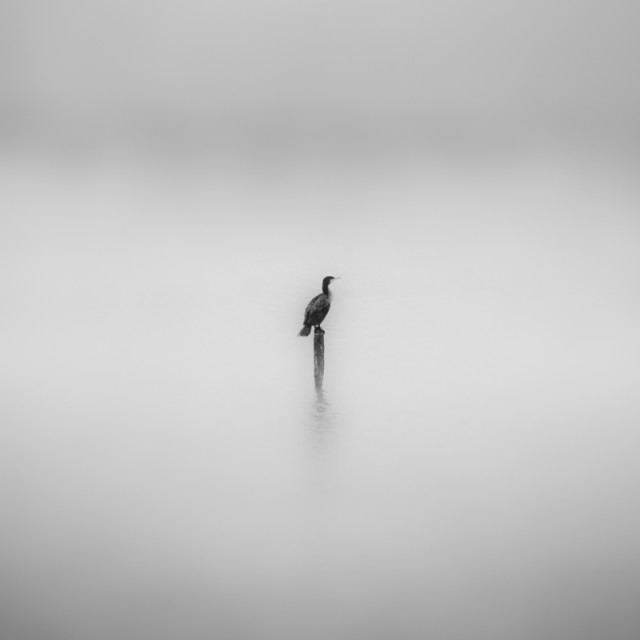 "all by myself-reprise" stock image