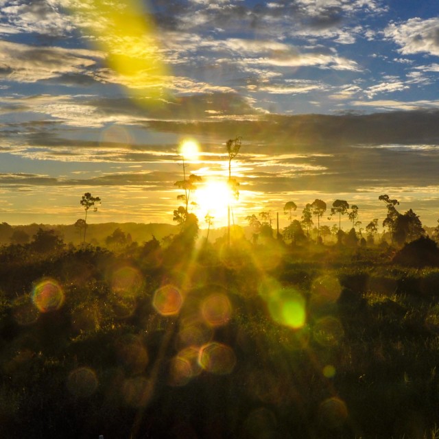 "Sun Burst" stock image