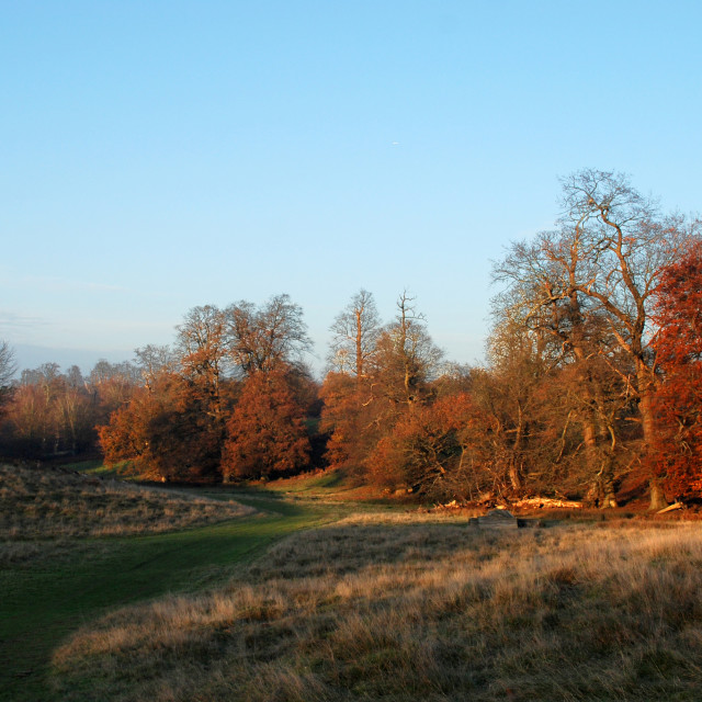 "Knowle Park Autumn" stock image