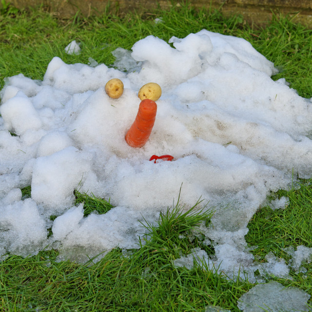 "Melted Snowman" stock image