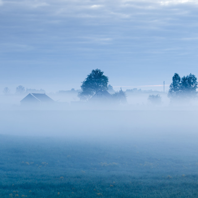 "Foggy morning" stock image