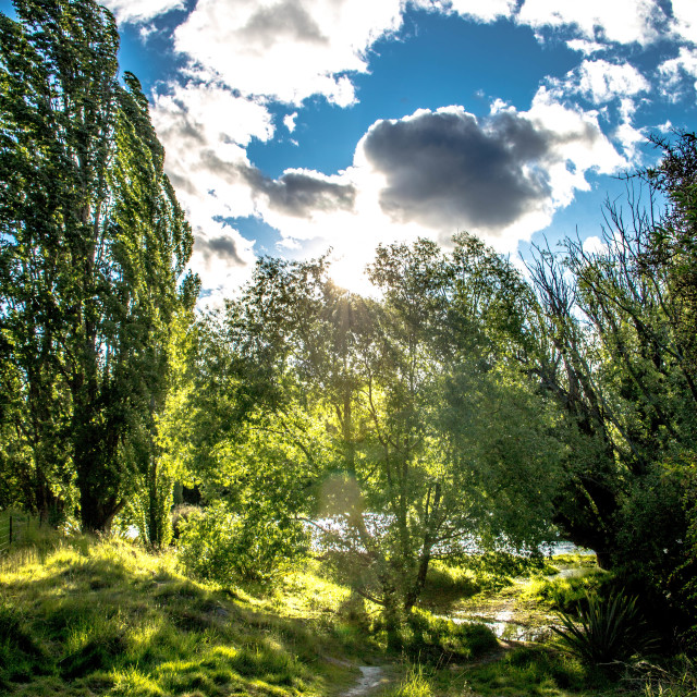 "Summer Shine" stock image