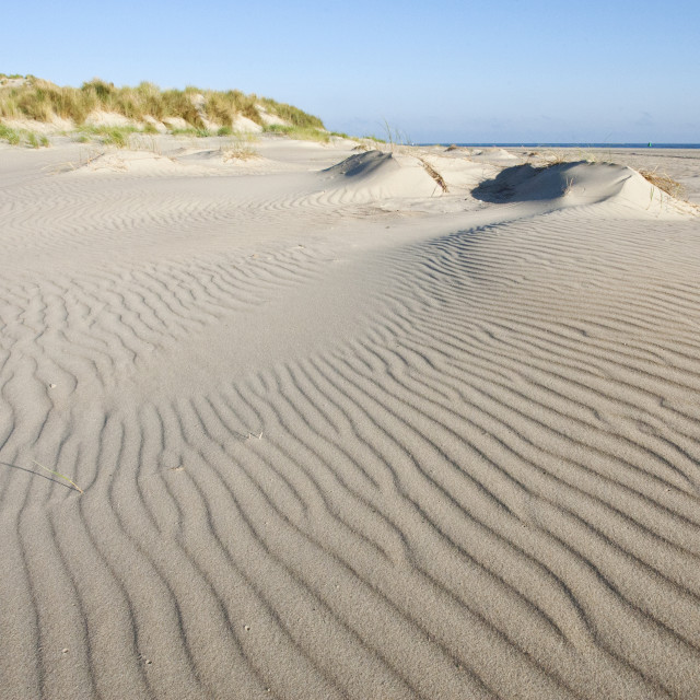 "Strand en duinen oostpunt, Vlieland (Nederland / Netherlands)" stock image