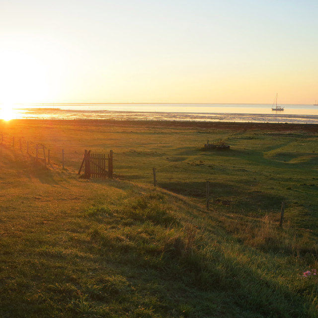 "Westerveld, Vlieland (Nederland / Netherlands)" stock image