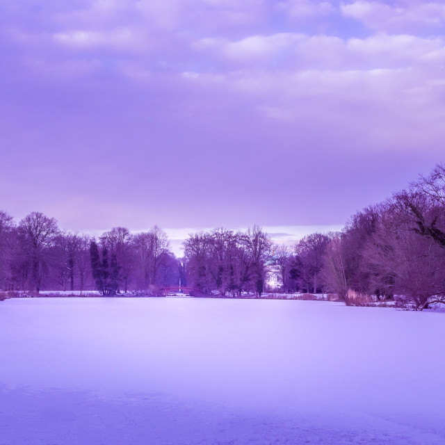 "Frozen Lake" stock image