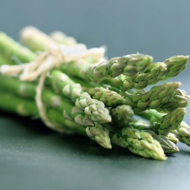 "Tied asparagus on an aqua background" stock image