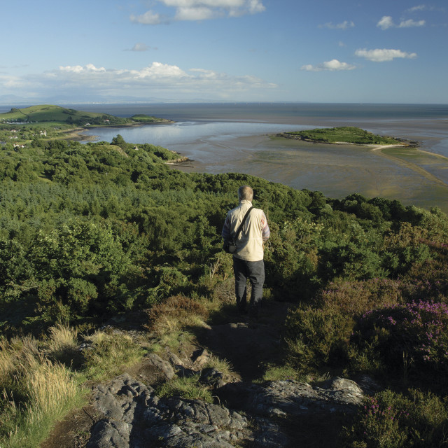 "Solway Firth from The Muckle" stock image