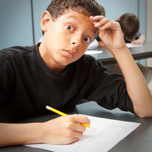 the standardized testing craze the standardized testing craze