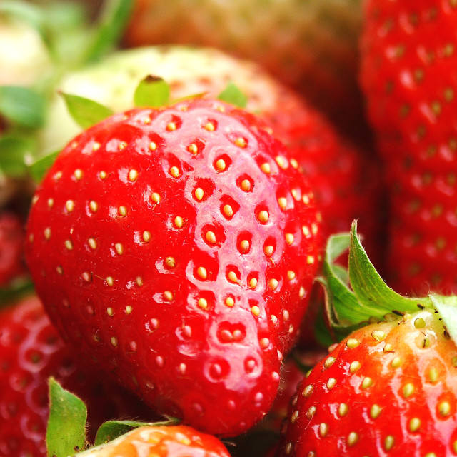 "Strawberries" stock image