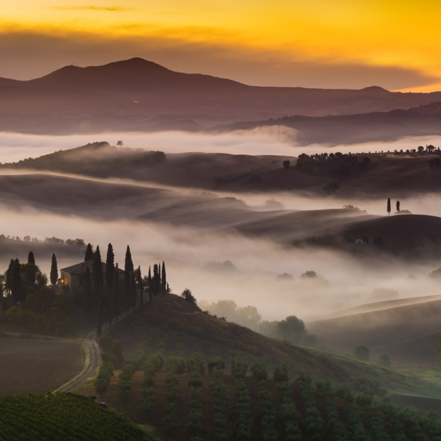 "home from the land of dreams" stock image