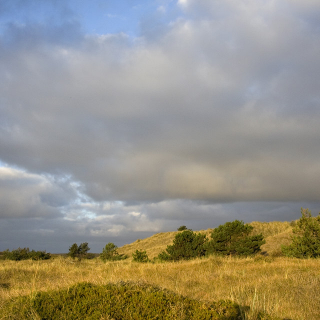 "Duinen Posthuis Vlieland, Dunes Posthuis Vlieland, Netherlands" stock image