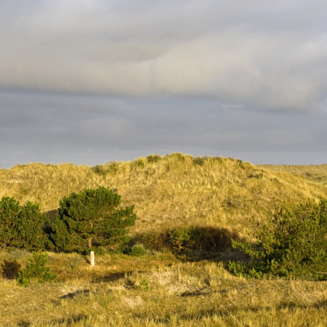 "Duinen Posthuis Vlieland, Dunes Posthuis Vlieland, Netherlands" stock image