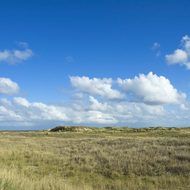 "Vlieland" stock image