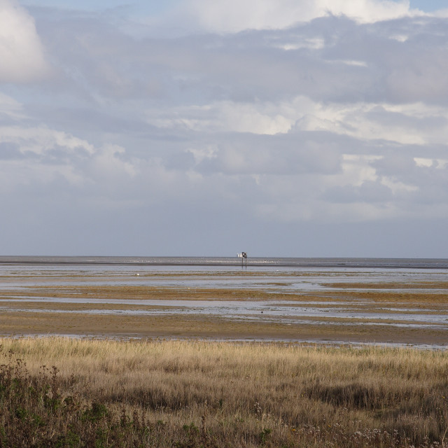 "Vliehorst" stock image