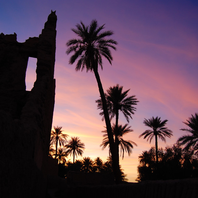 "A Palm Sunset" by Keith MacIntosh FRGS - $12.22 "A Palm Sunset" stock image