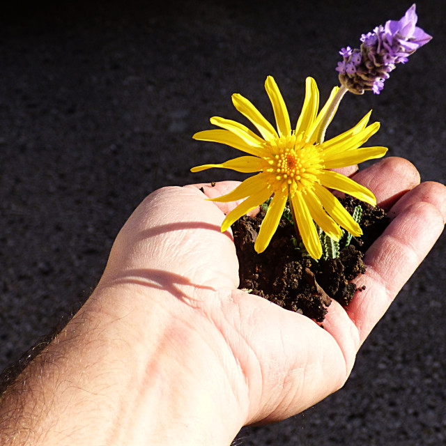 "Holding Earth and flowers" stock image