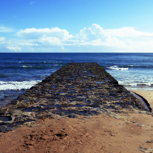 "SeaEscape" stock image