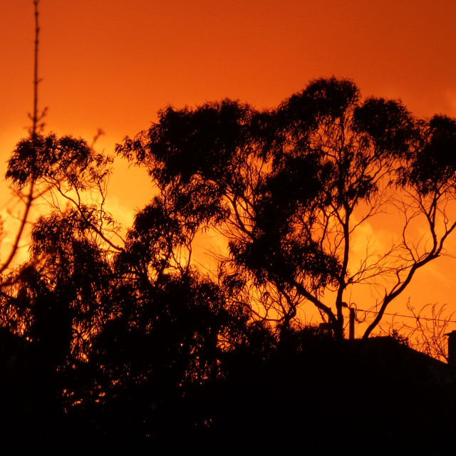 "Sunset Shadows" stock image