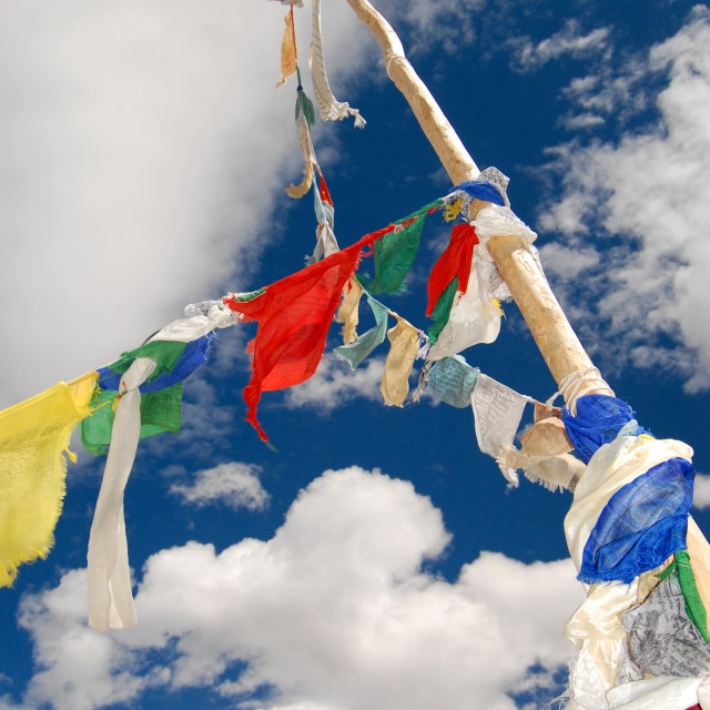 "On the Wind" by Keith MacIntosh FRGS - $12.22 "On the Wind" stock image