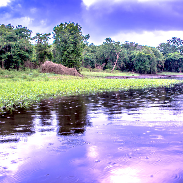 "Ever-changing colours of the Amazon River" stock image