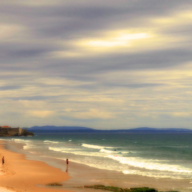 "Beach landscape" stock image