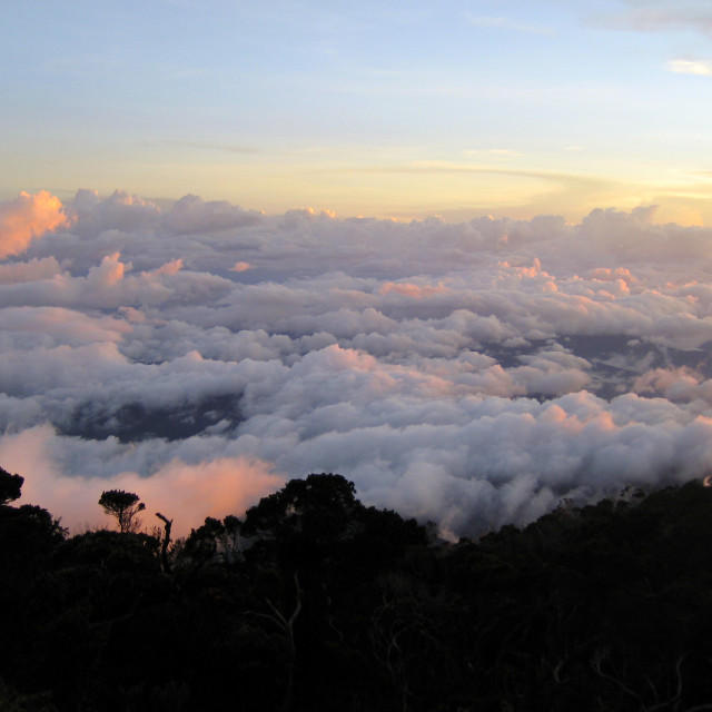 "Below Kinabalu" stock image