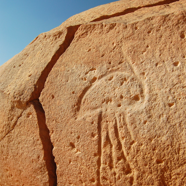 "An Ancient Ostrich" by Keith MacIntosh FRGS - $12.22 "An Ancient Ostrich" stock image