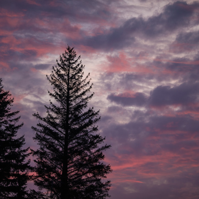 "Sunset" stock image