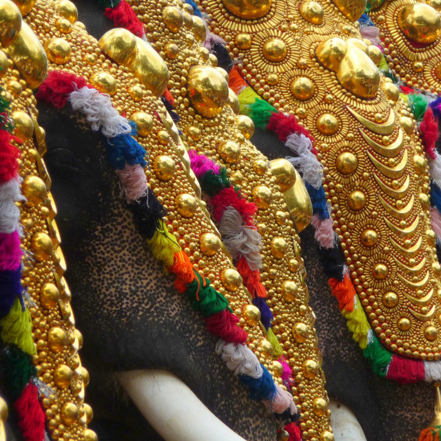 "Ready for Pooram" stock image