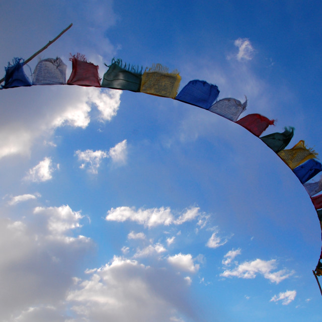 "On the Wind" stock image