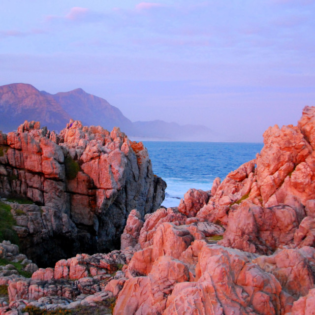 "Watching for Whales" by Keith MacIntosh FRGS - $12.22 "Watching for Whales" stock image