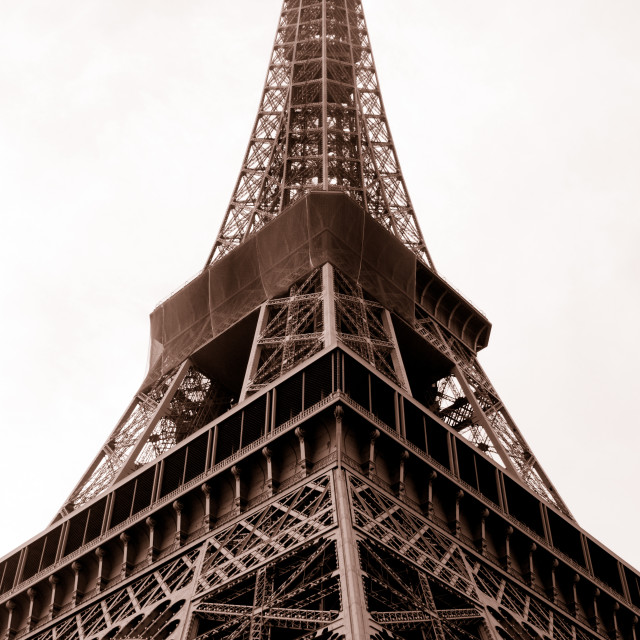 "Eiffel Tower" stock image