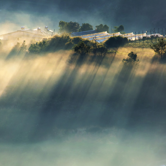 "Fog, ray, pine forest and farm – View from top of mountain, Da Lat city, Vietnam." stock image