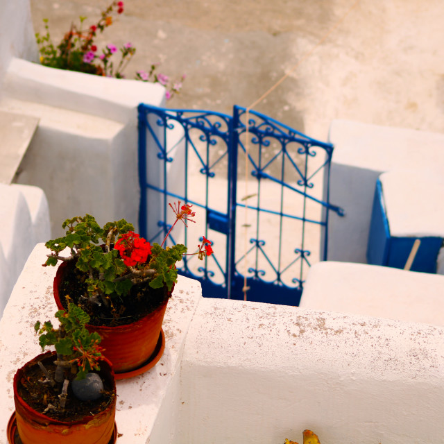 "Flower Gate" stock image