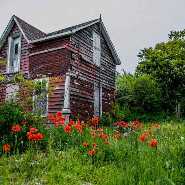 "Abandoned Red House in Tobermory, Ontario" stock image