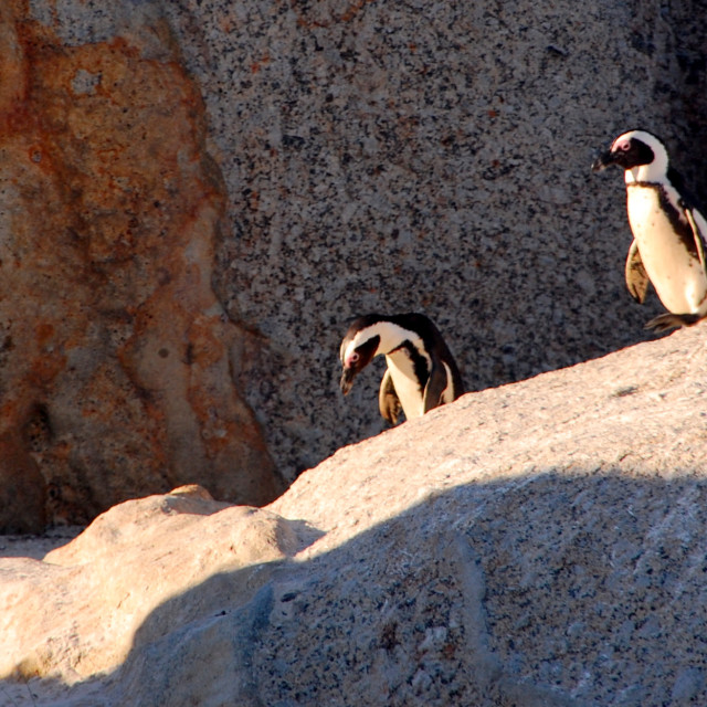"Across the Rocks" by Keith MacIntosh FRGS - $12.28 "Across the Rocks" stock image