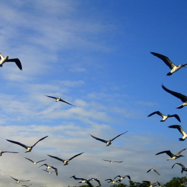 "A Skyful" stock image