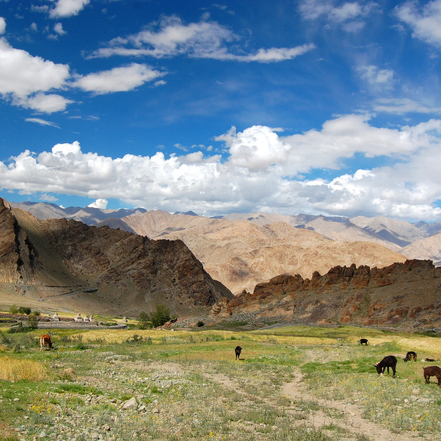 "Below Hemis" stock image