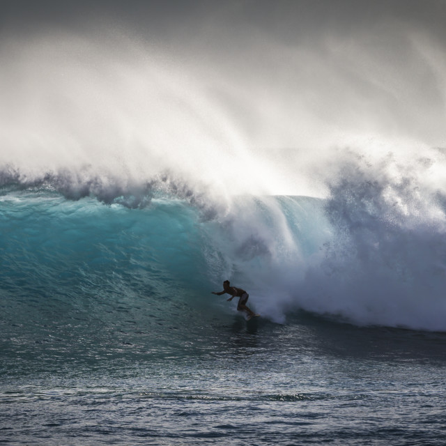 "Shadow Surf" stock image