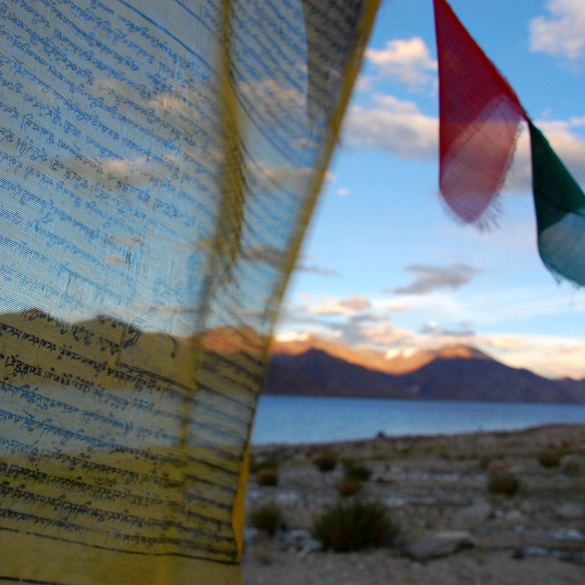 "Flags in the Wind" stock image