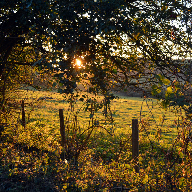 "Autumn Sunset" stock image