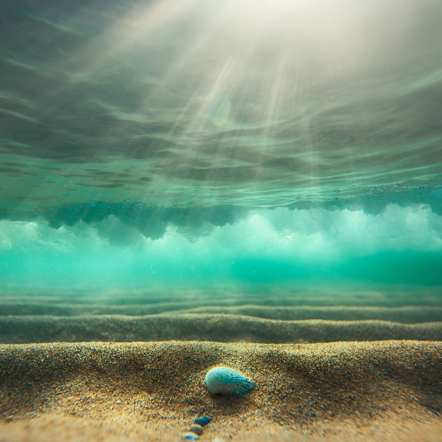 "Underwater background with sandy sea bottom" stock image