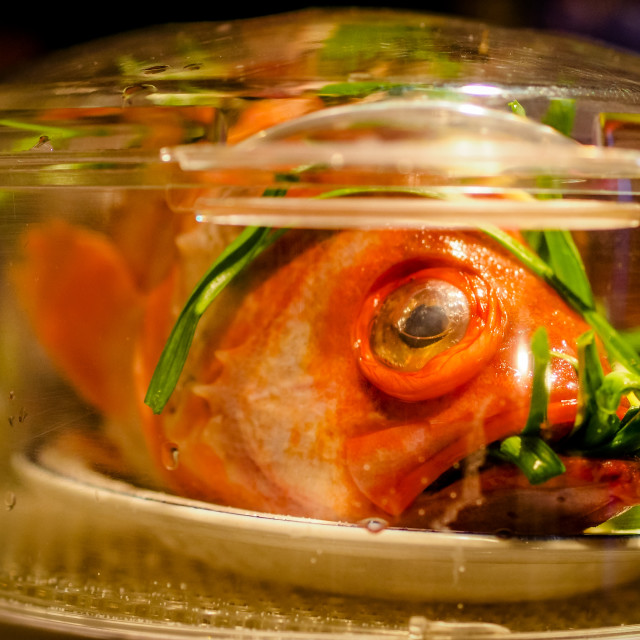 "Fish in a Steam Cooker" stock image