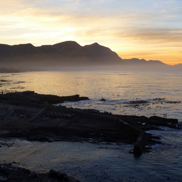 "The Whale Coast" stock image