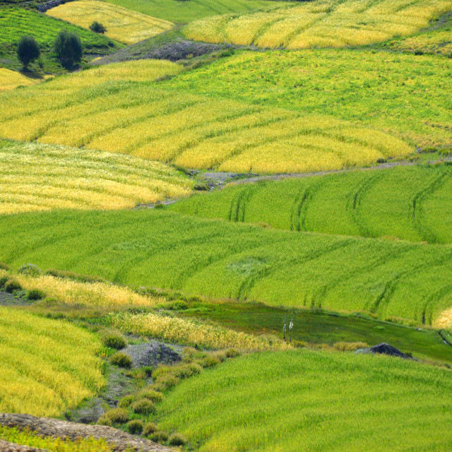 "Lingshed Fields" stock image