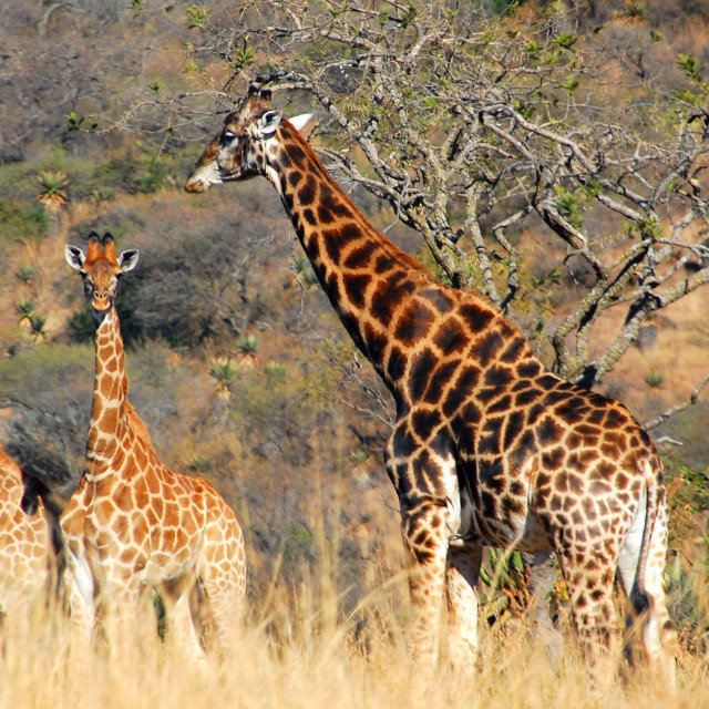 "Three of Us" stock image