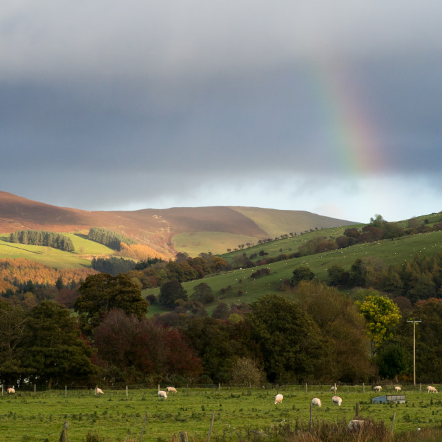 "Autumn Colours 3" stock image